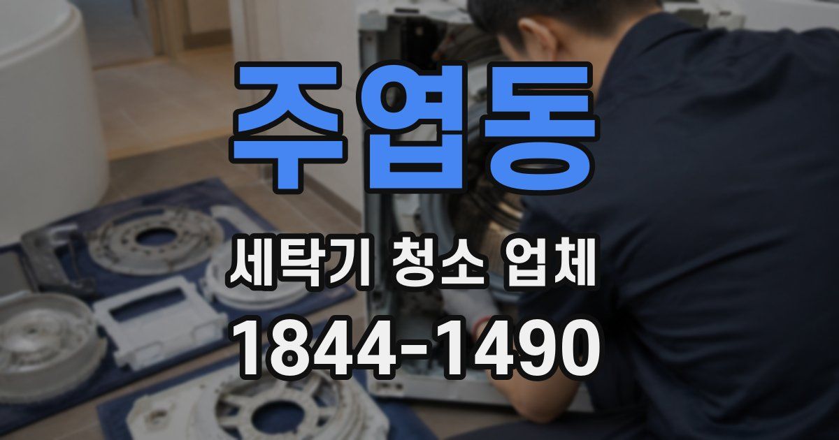 주엽동 세탁기 청소 업체