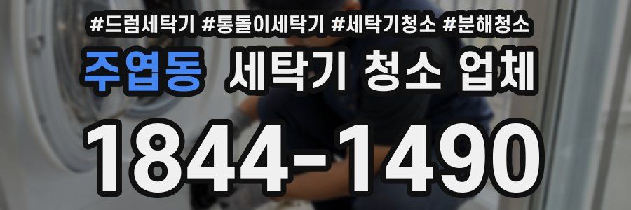 주엽동 세탁기 청소 업체