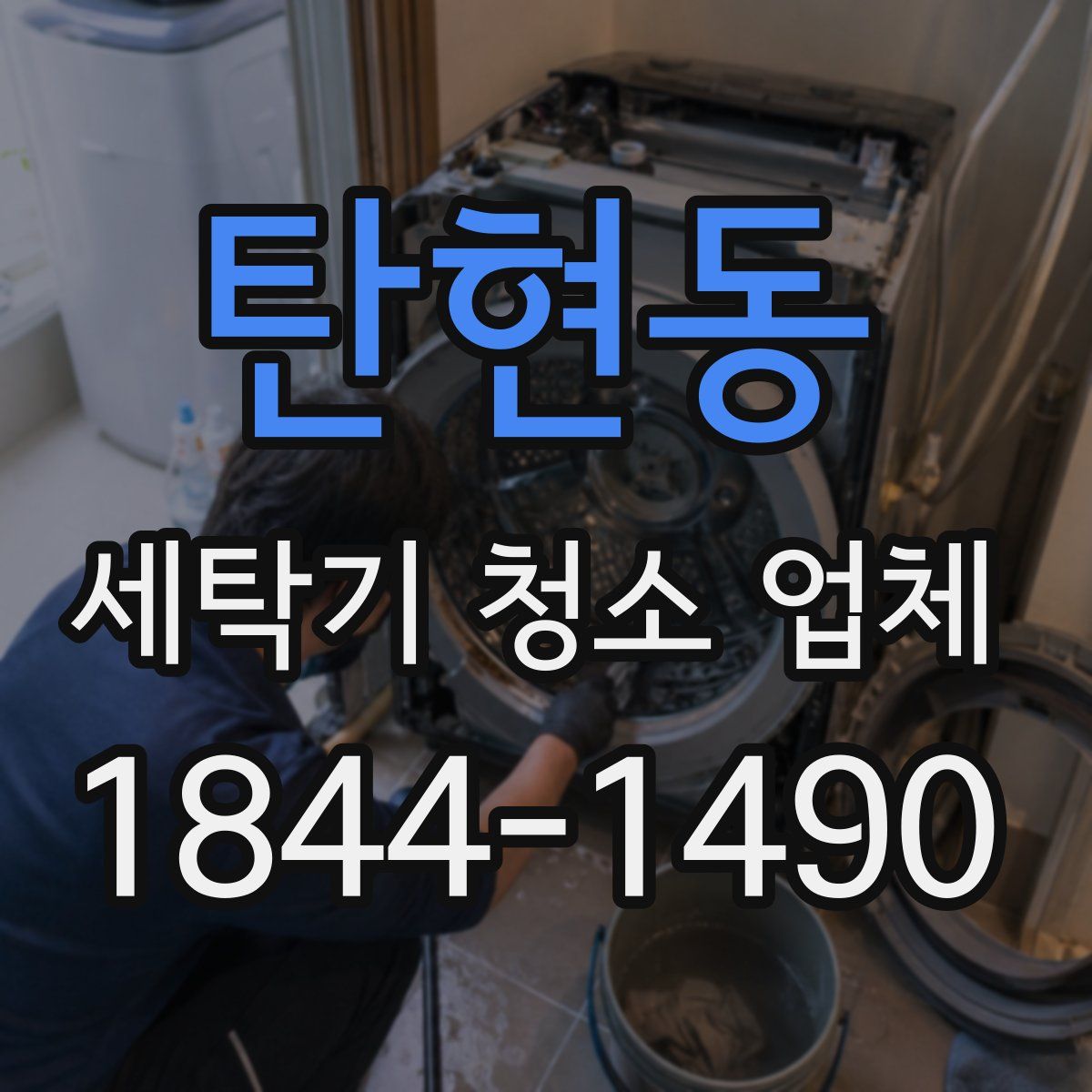 탄현동 세탁기 청소 업체