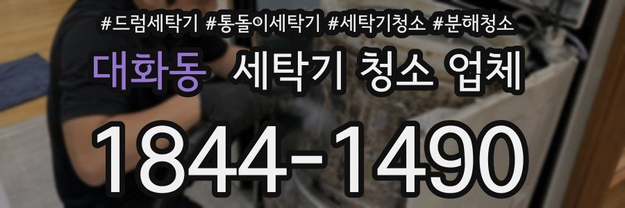 대화동 세탁기 청소 업체