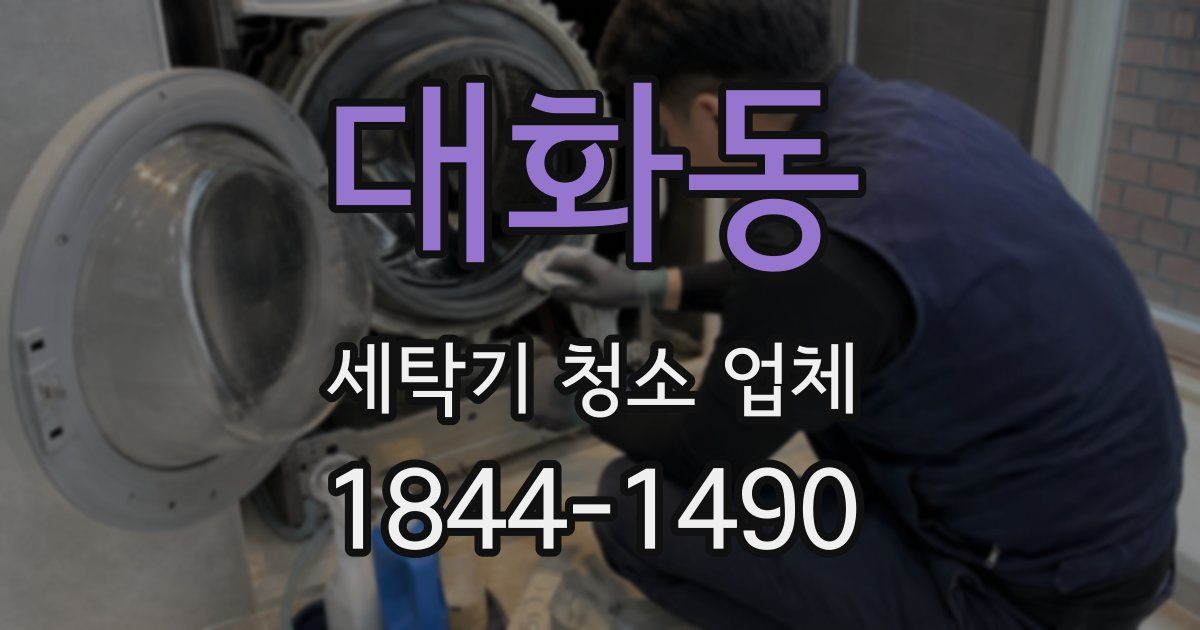 대화동 세탁기 청소 업체