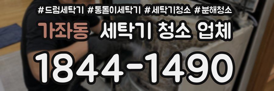 가좌동 세탁기 청소 업체