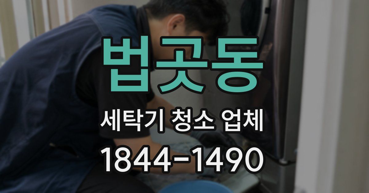 법곳동 세탁기 청소 업체