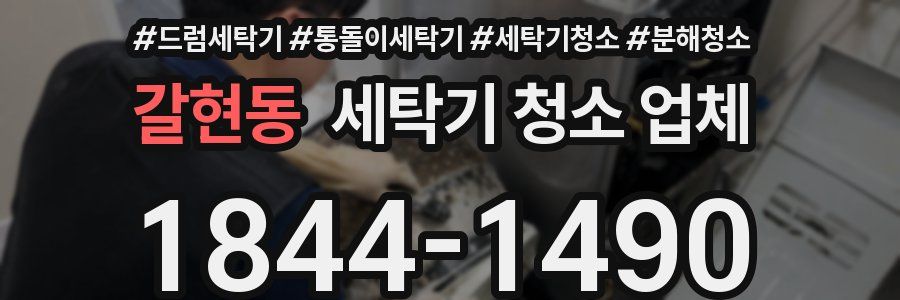 갈현동 세탁기 청소 업체