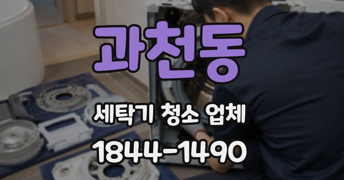 과천동 세탁기 청소 업체