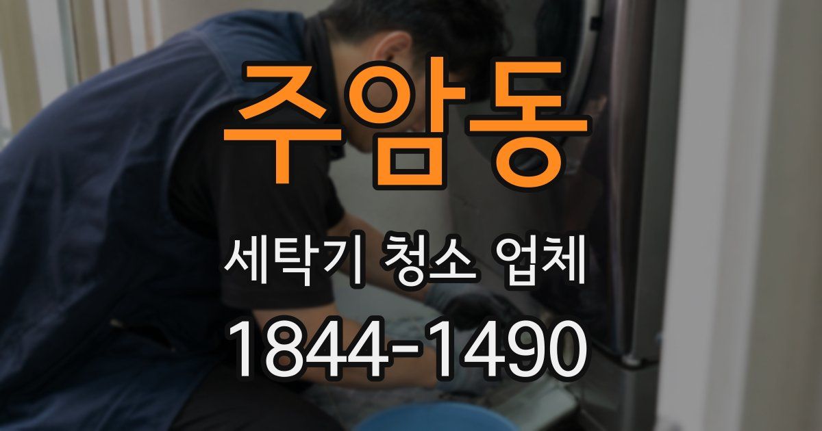 주암동 세탁기 청소 업체