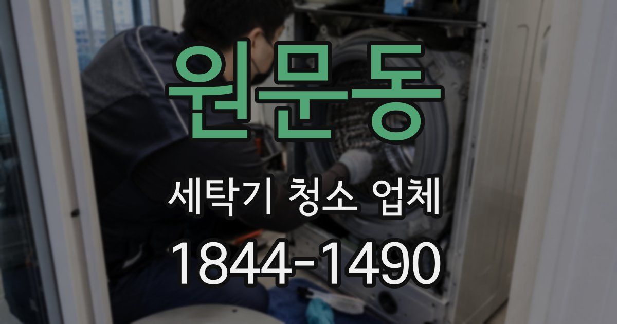 원문동 세탁기 청소 업체