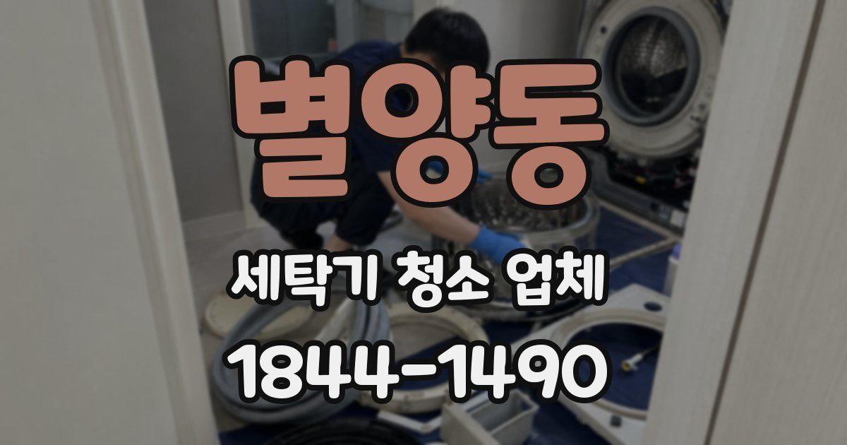 별양동 세탁기 청소 업체