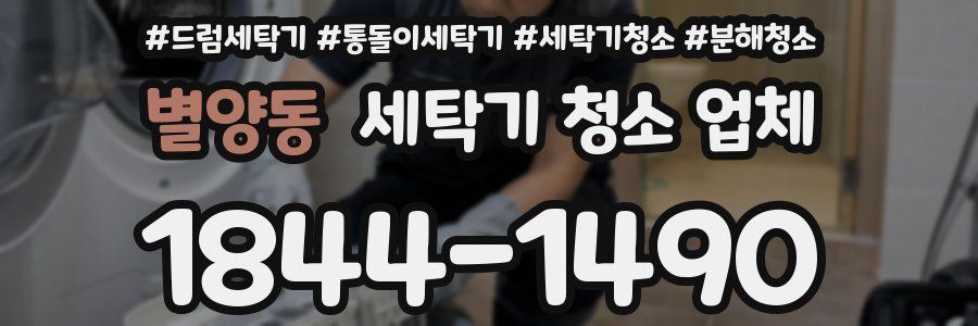 별양동 세탁기 청소 업체