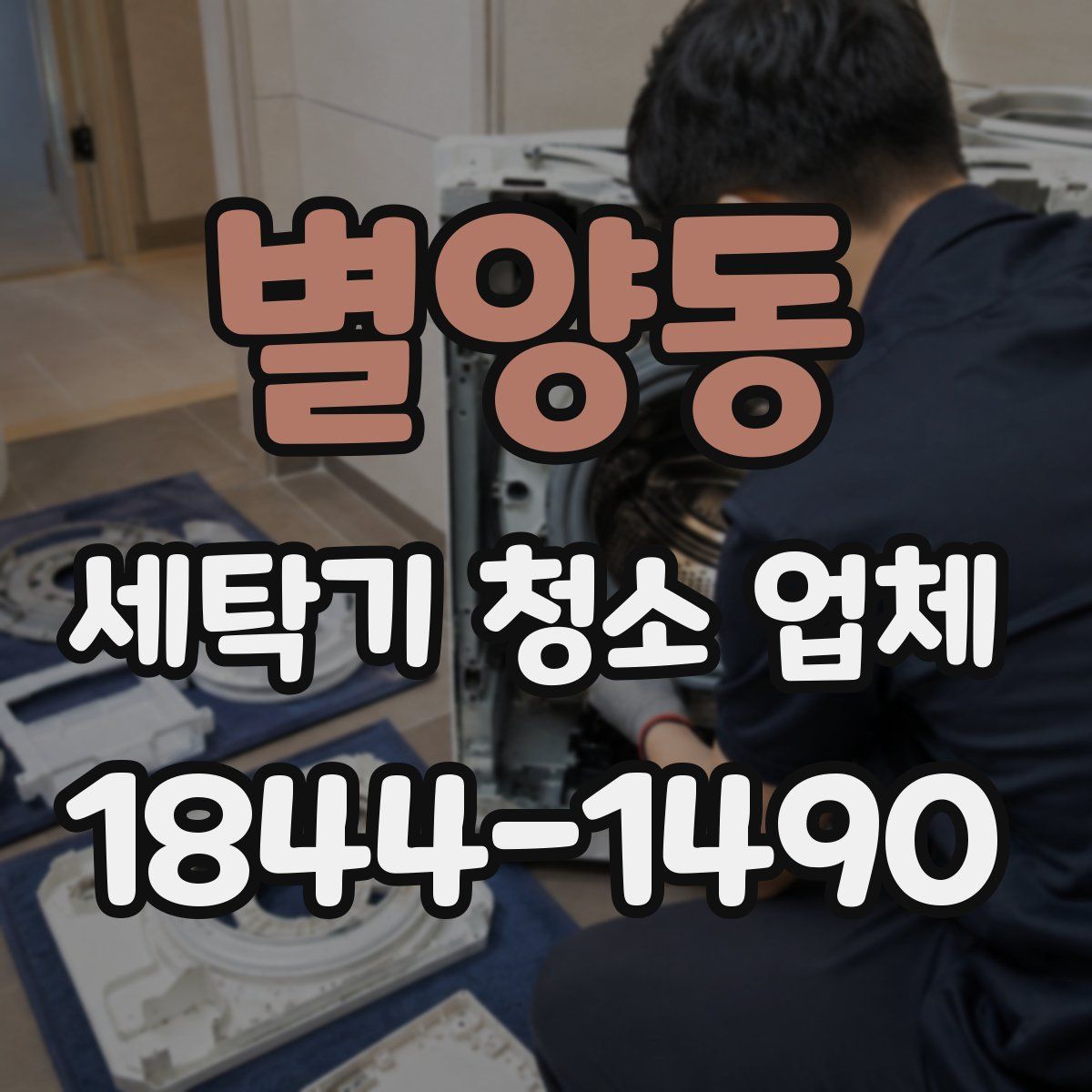 별양동 세탁기 청소 업체