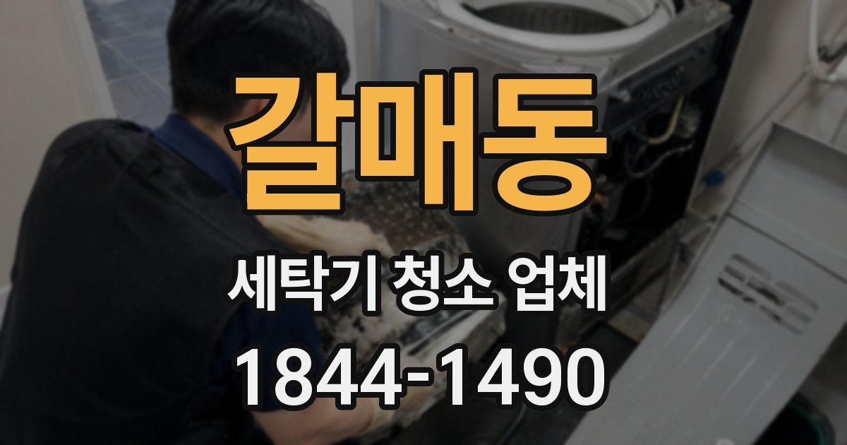 갈매동 세탁기 청소 업체