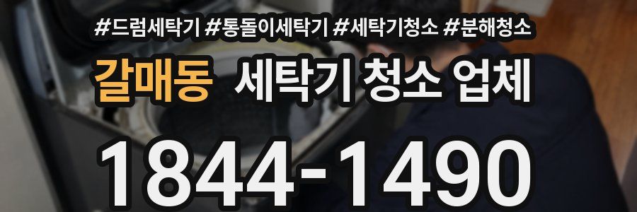 갈매동 세탁기 청소 업체