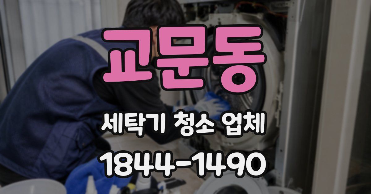 교문동 세탁기 청소 업체