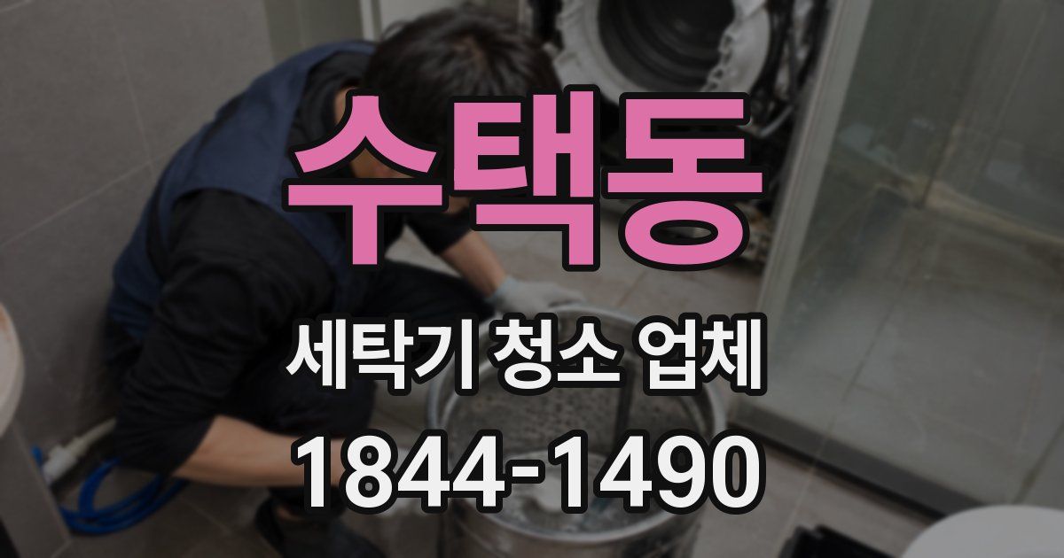 수택동 세탁기 청소 업체