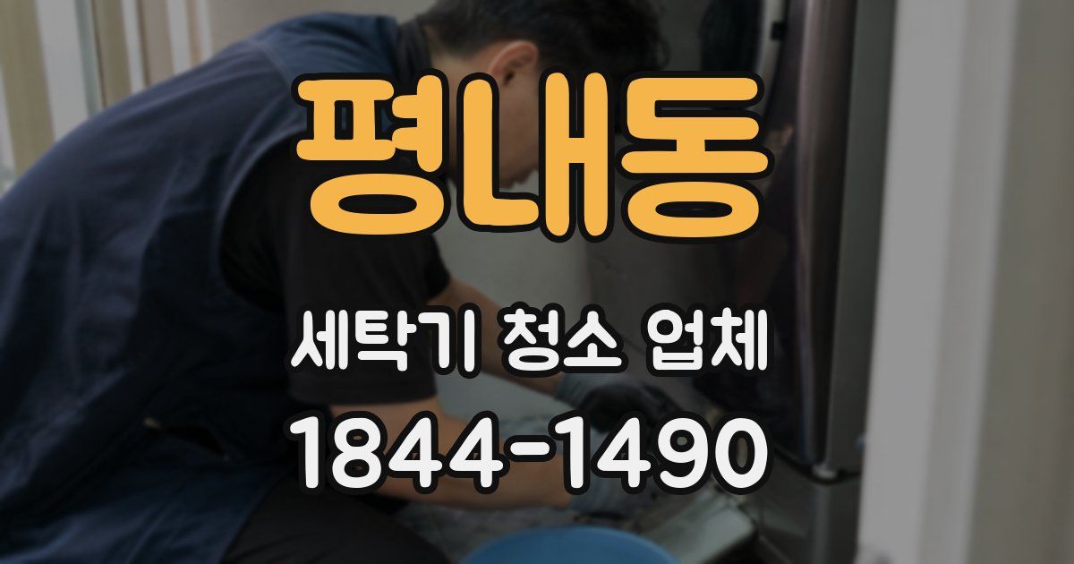 평내동 세탁기 청소 업체