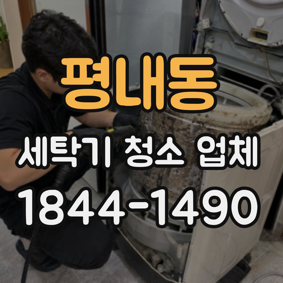 평내동 세탁기 청소 업체