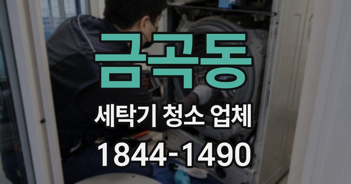 금곡동 세탁기 청소 업체