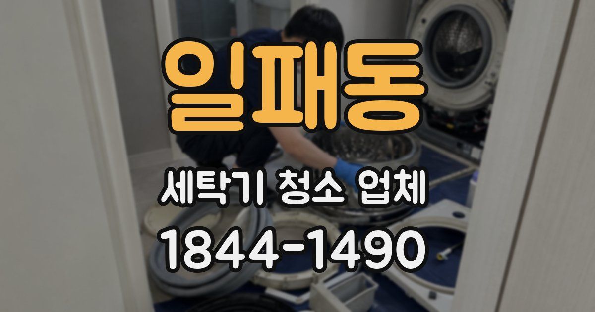 일패동 세탁기 청소 업체