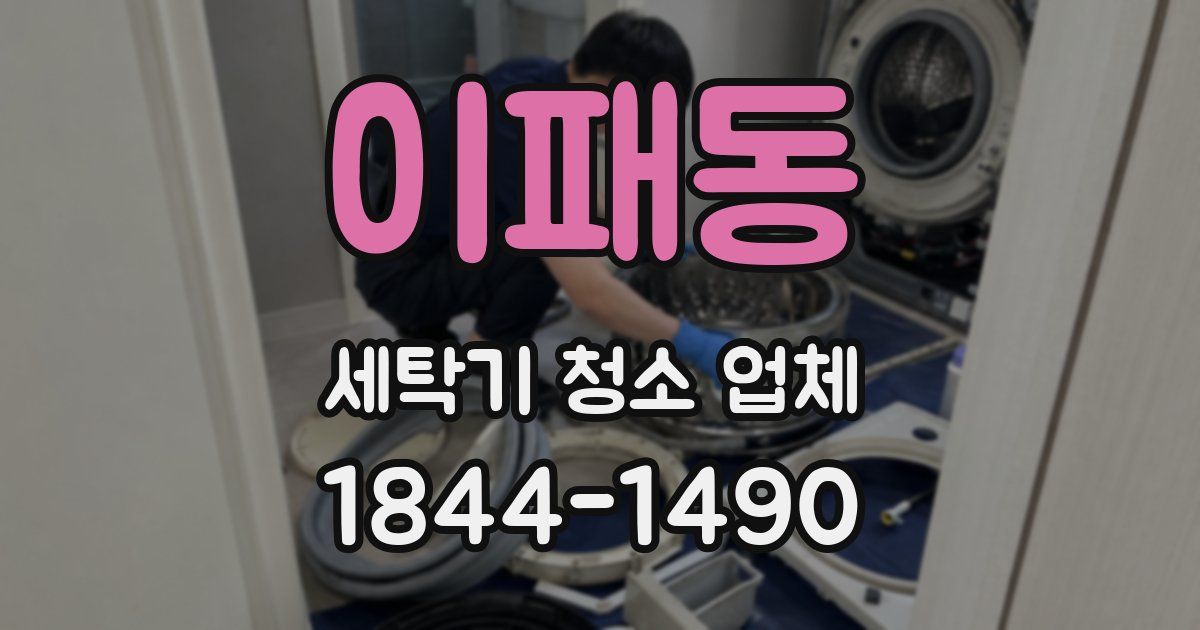 이패동 세탁기 청소 업체