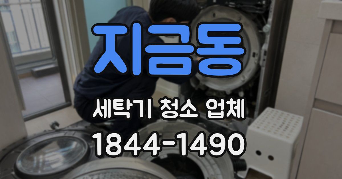 지금동 세탁기 청소 업체