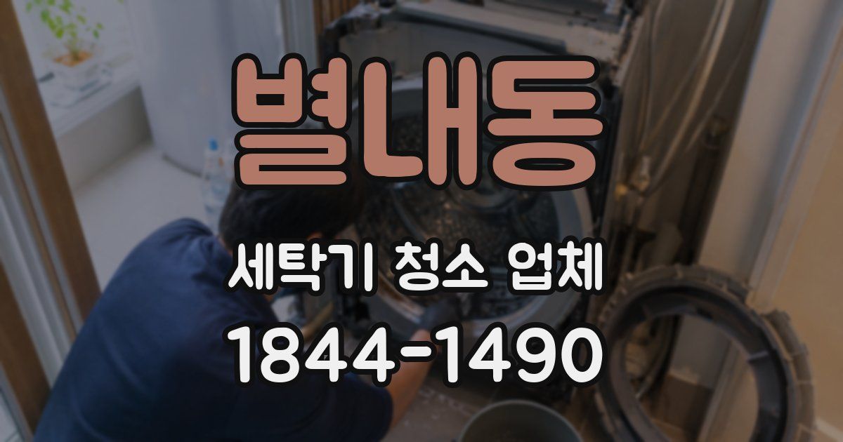 별내동 세탁기 청소 업체