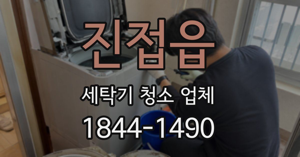 진접읍 세탁기 청소 업체
