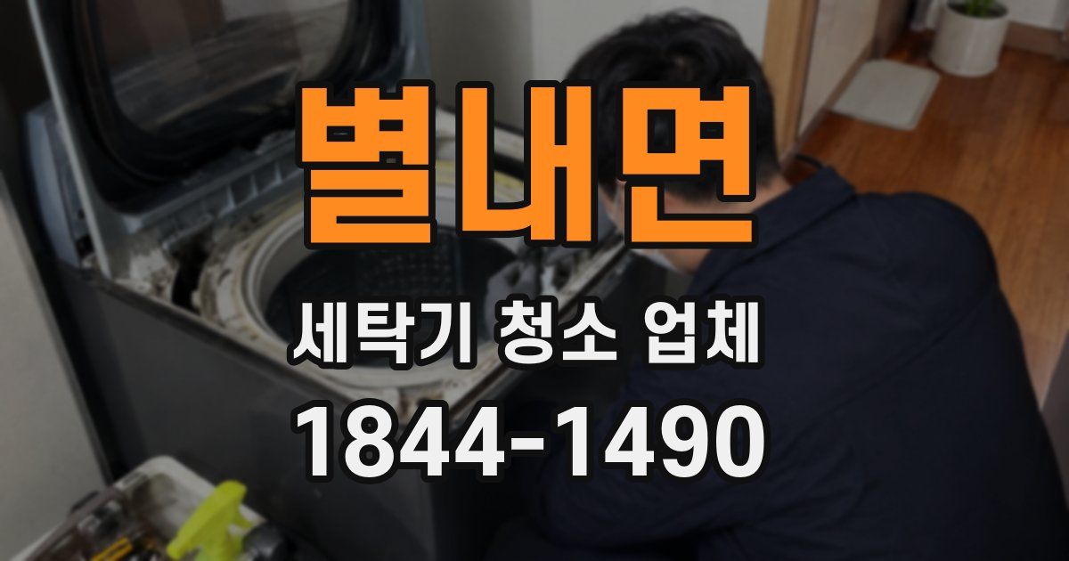 별내면 세탁기 청소 업체