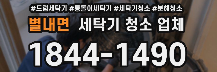 별내면 세탁기 청소 업체