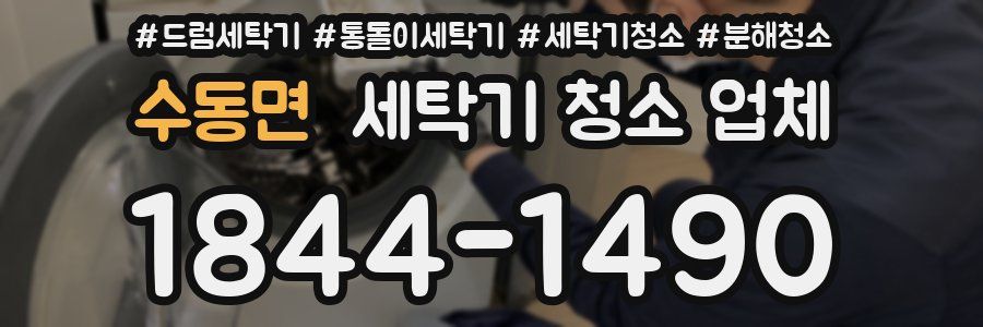수동면 세탁기 청소 업체