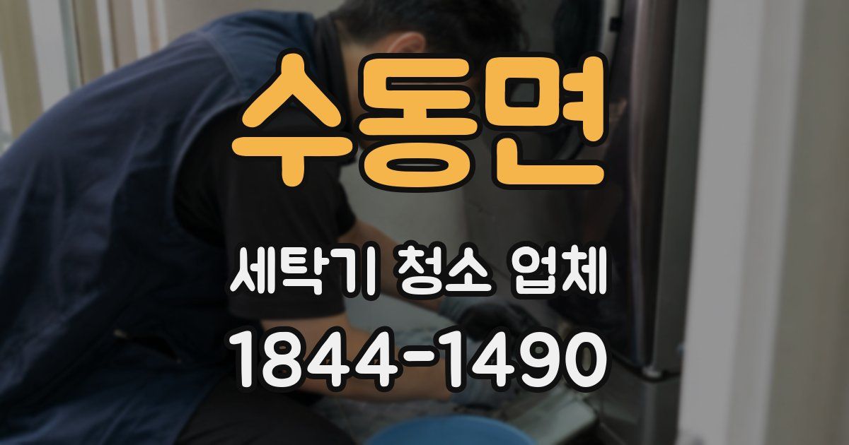 수동면 세탁기 청소 업체