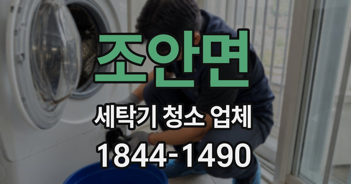 조안면 세탁기 청소 업체
