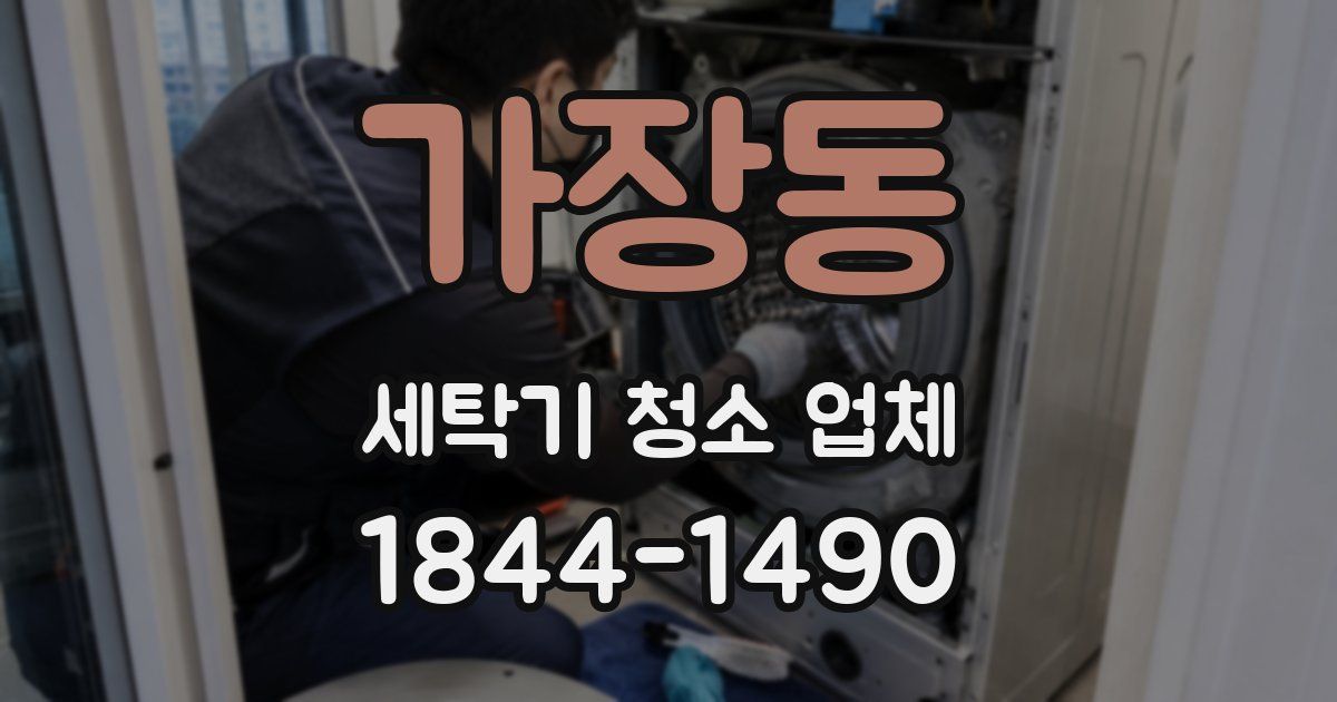 가장동 세탁기 청소 업체