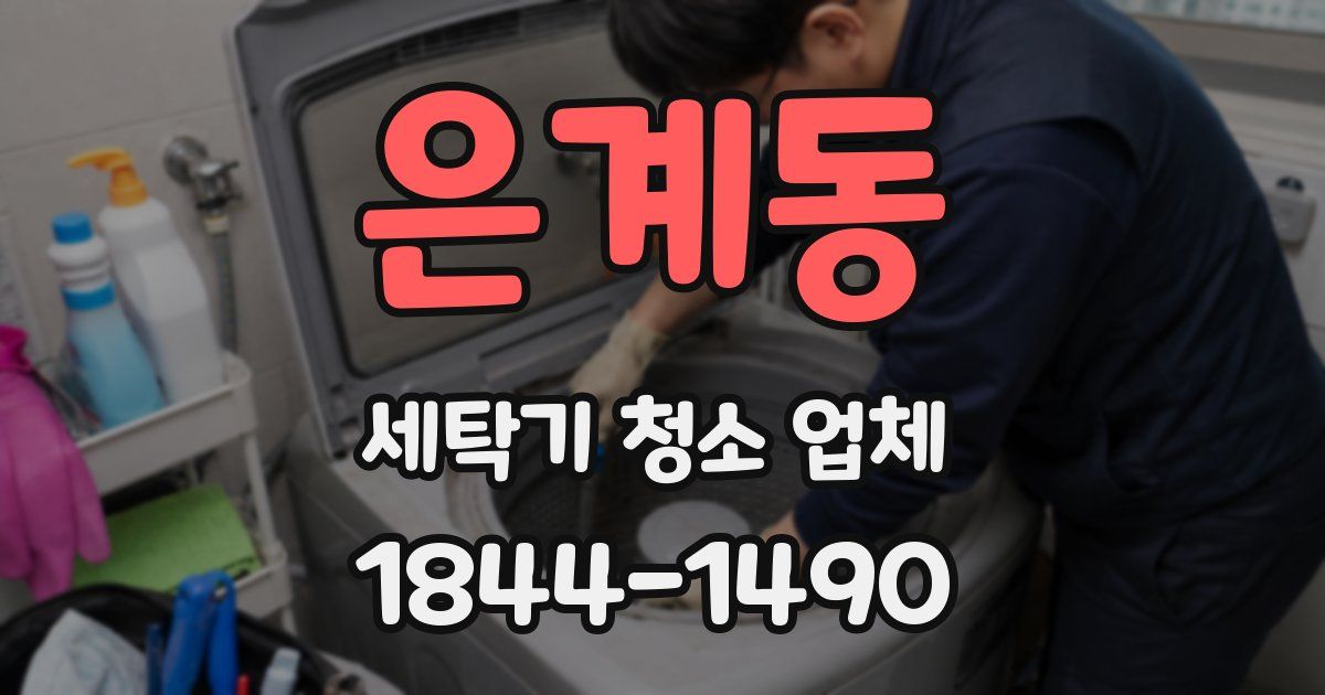 은계동 세탁기 청소 업체