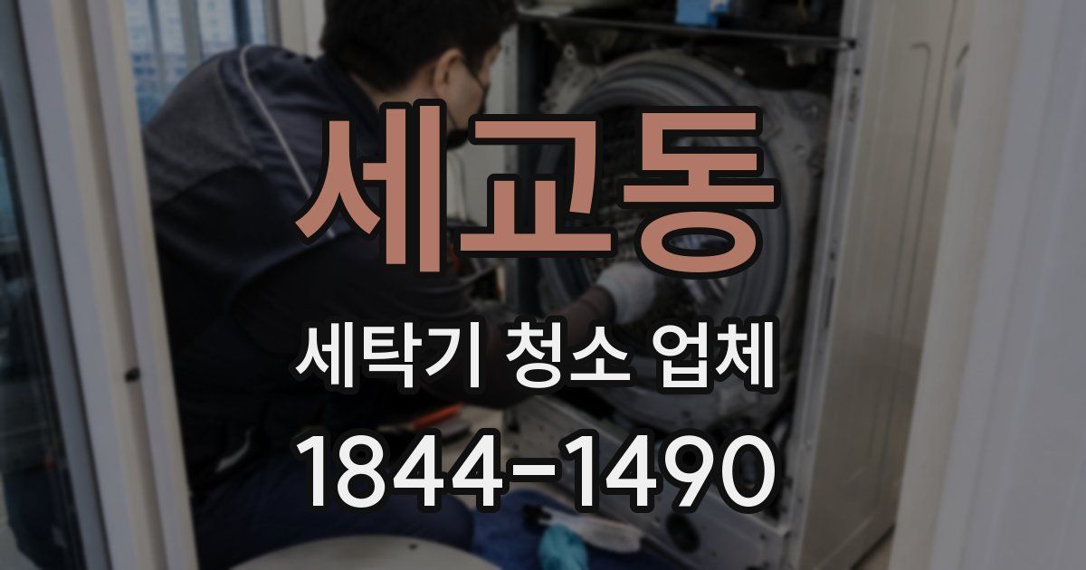 세교동 세탁기 청소 업체