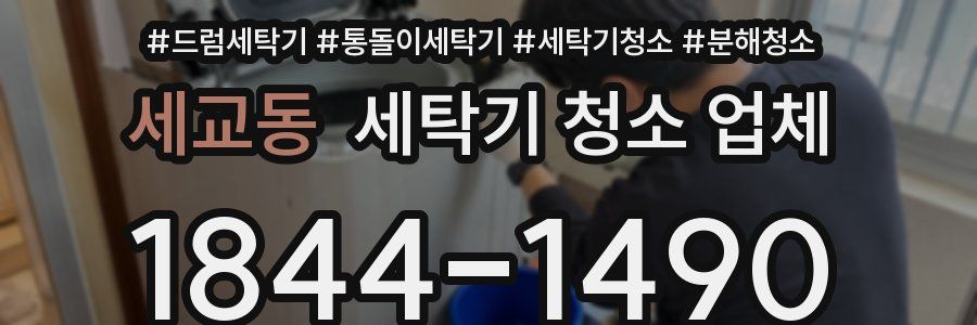세교동 세탁기 청소 업체