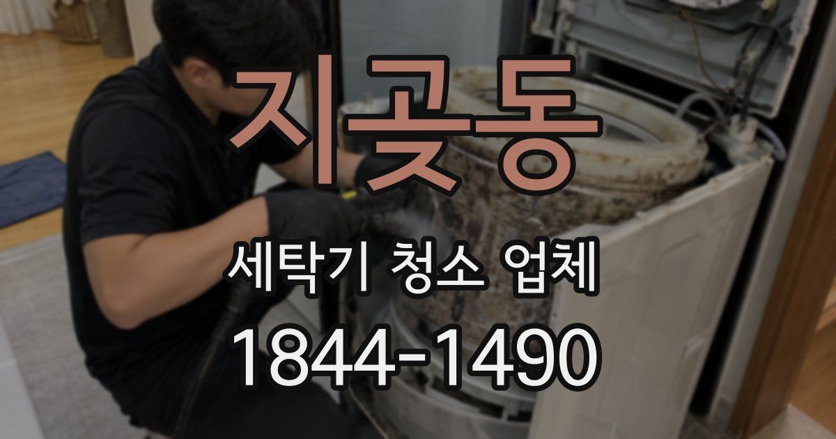 지곶동 세탁기 청소 업체