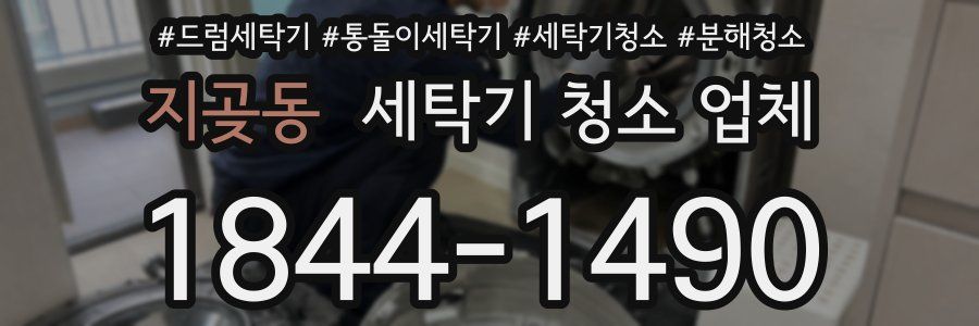 지곶동 세탁기 청소 업체