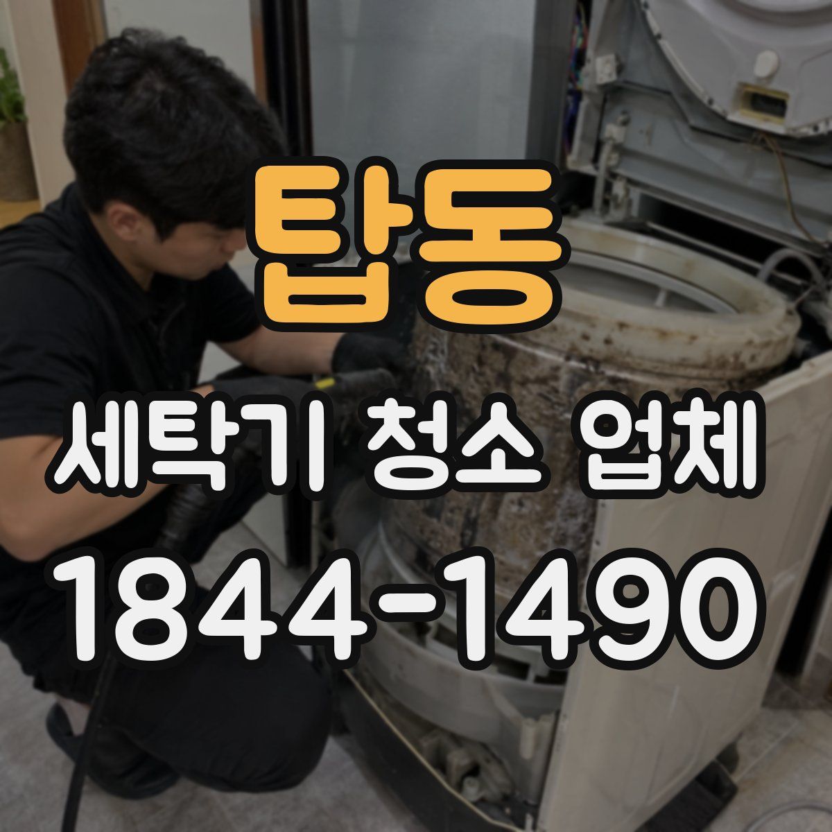 탑동 세탁기 청소 업체