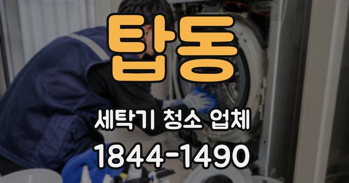 탑동 세탁기 청소 업체