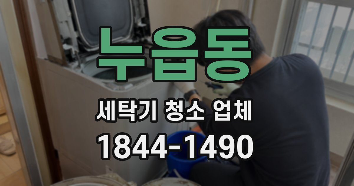 누읍동 세탁기 청소 업체