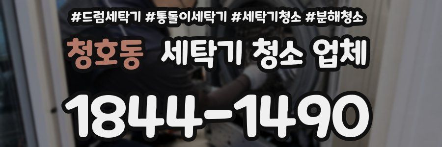 청호동 세탁기 청소 업체