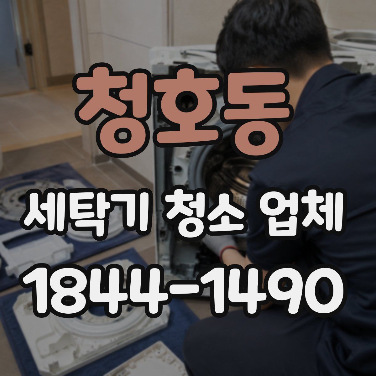 청호동 세탁기 청소 업체