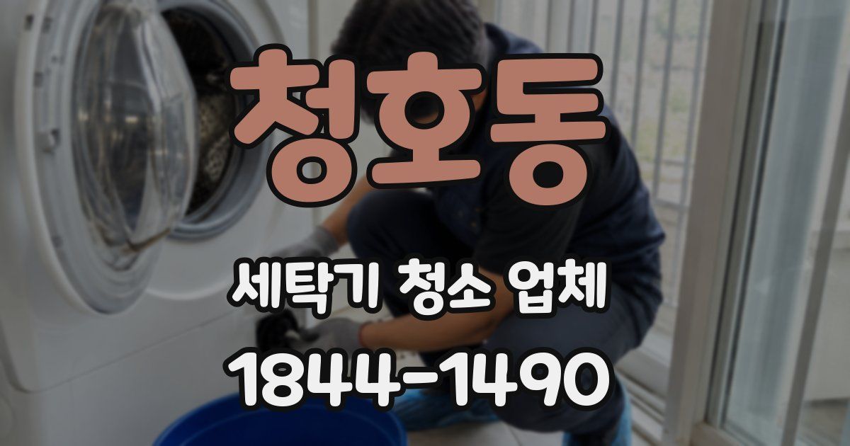 청호동 세탁기 청소 업체