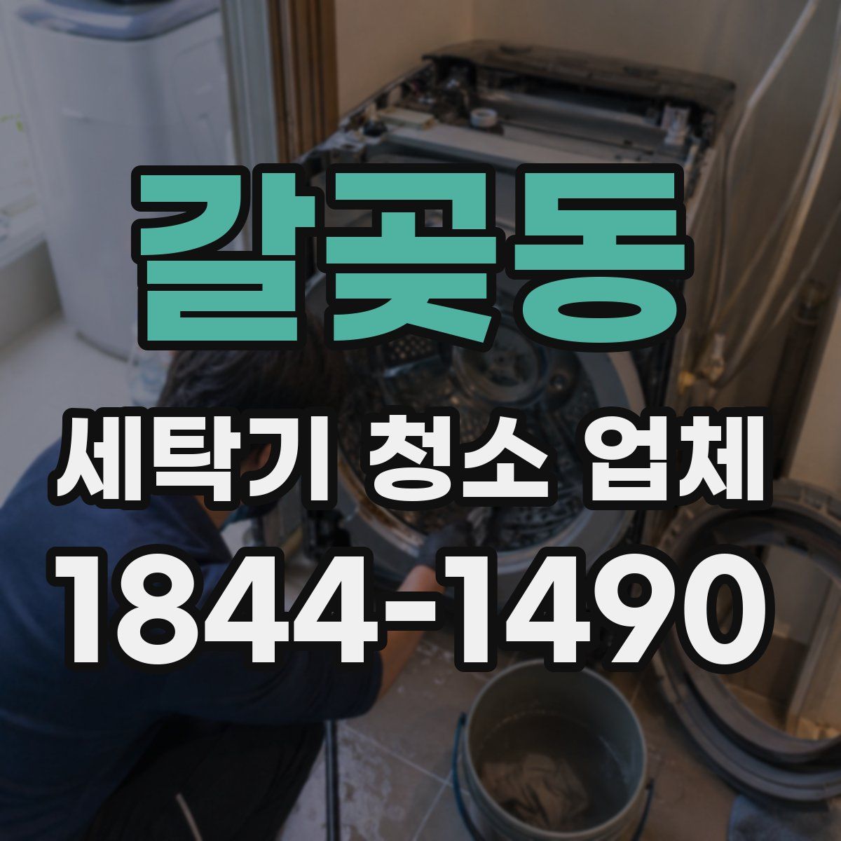 갈곶동 세탁기 청소 업체