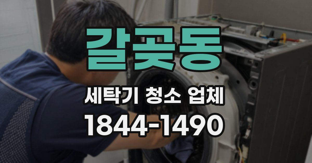 갈곶동 세탁기 청소 업체