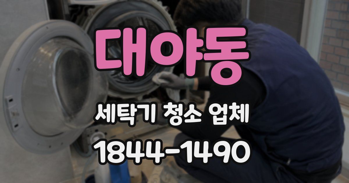 대야동 세탁기 청소 업체