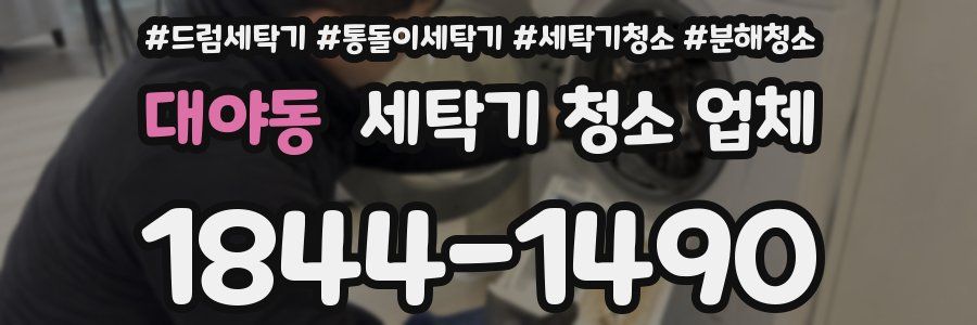 대야동 세탁기 청소 업체