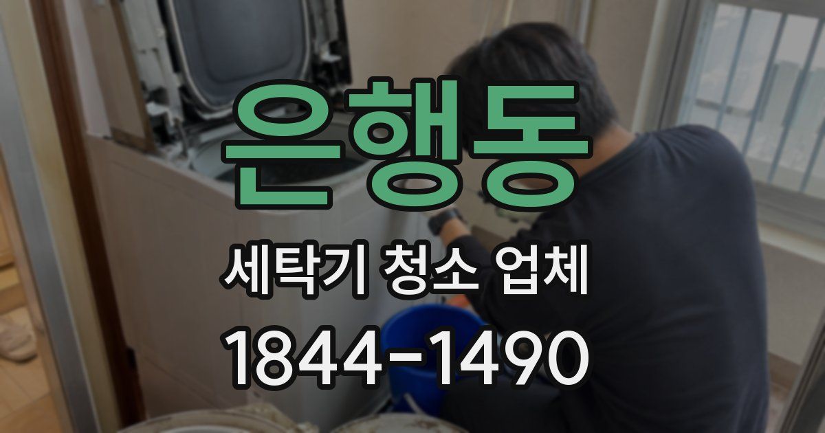 은행동 세탁기 청소 업체