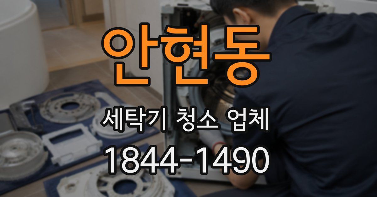 안현동 세탁기 청소 업체
