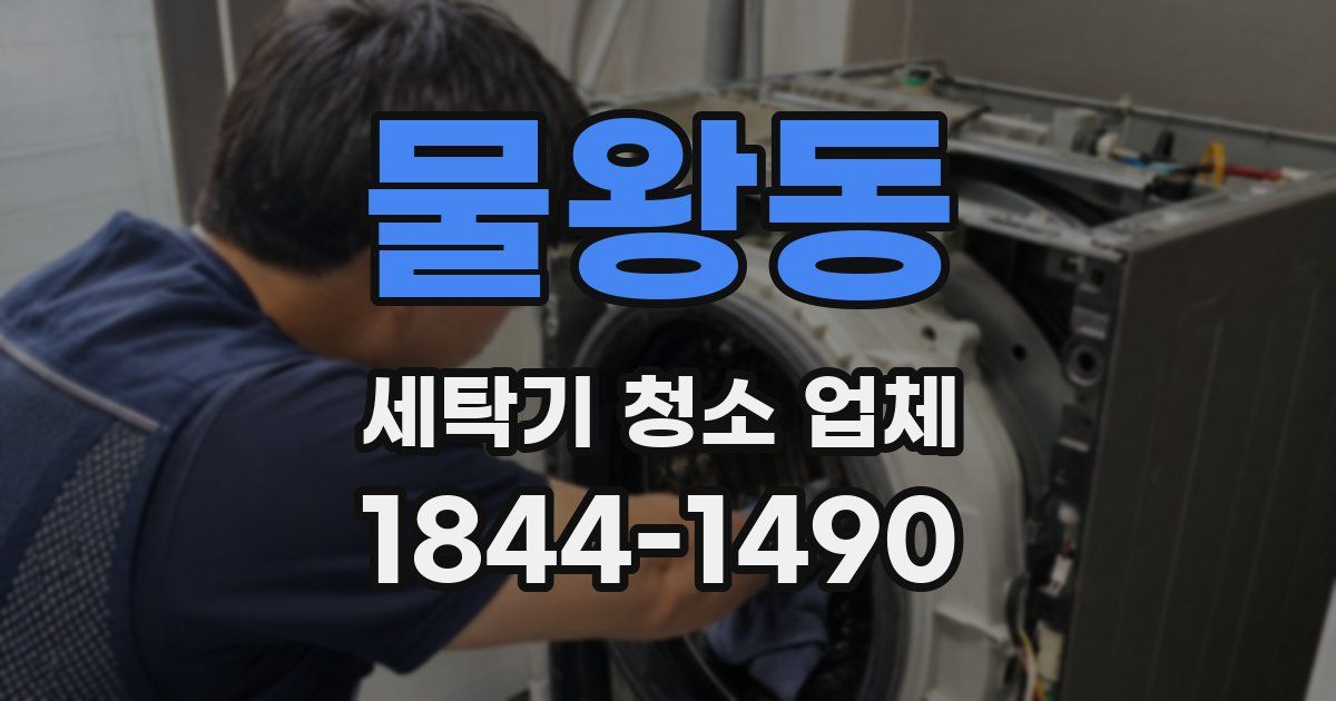 물왕동 세탁기 청소 업체
